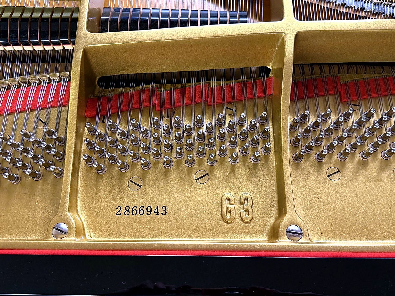 Yamaha G3, Yamaha G3, Open Box, view 5, Basbous & Sons Lebanon