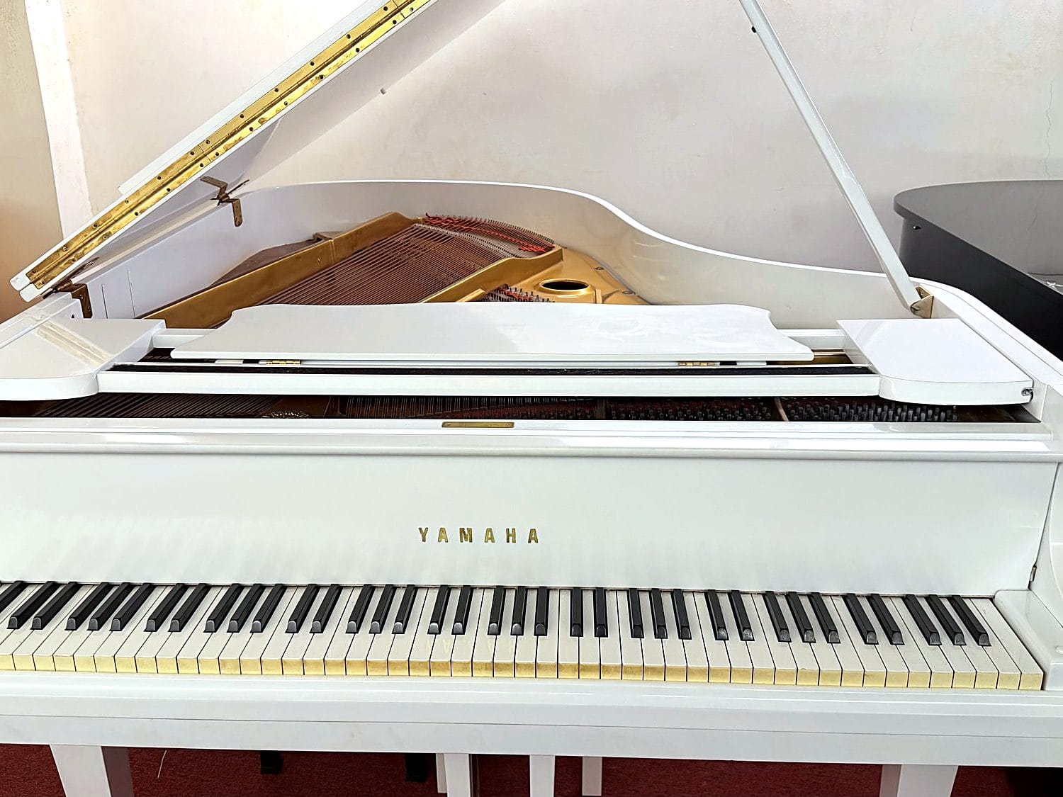 Yamaha G3, Yamaha G3, White, view 3, Basbous & Sons Lebanon
