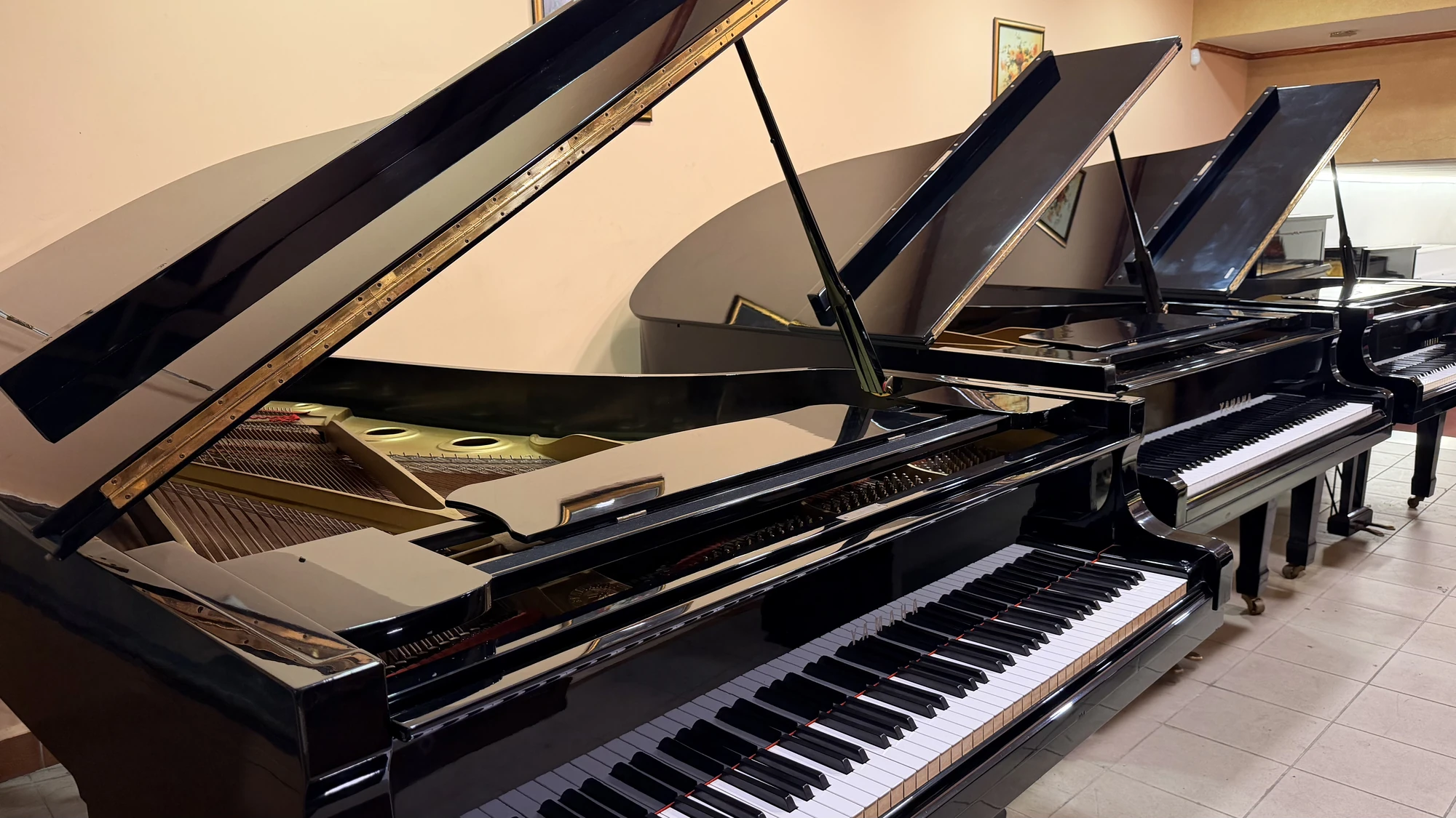 Grand pianos side by side in the Basbous & Sons showroom, Byblos, Lebanon