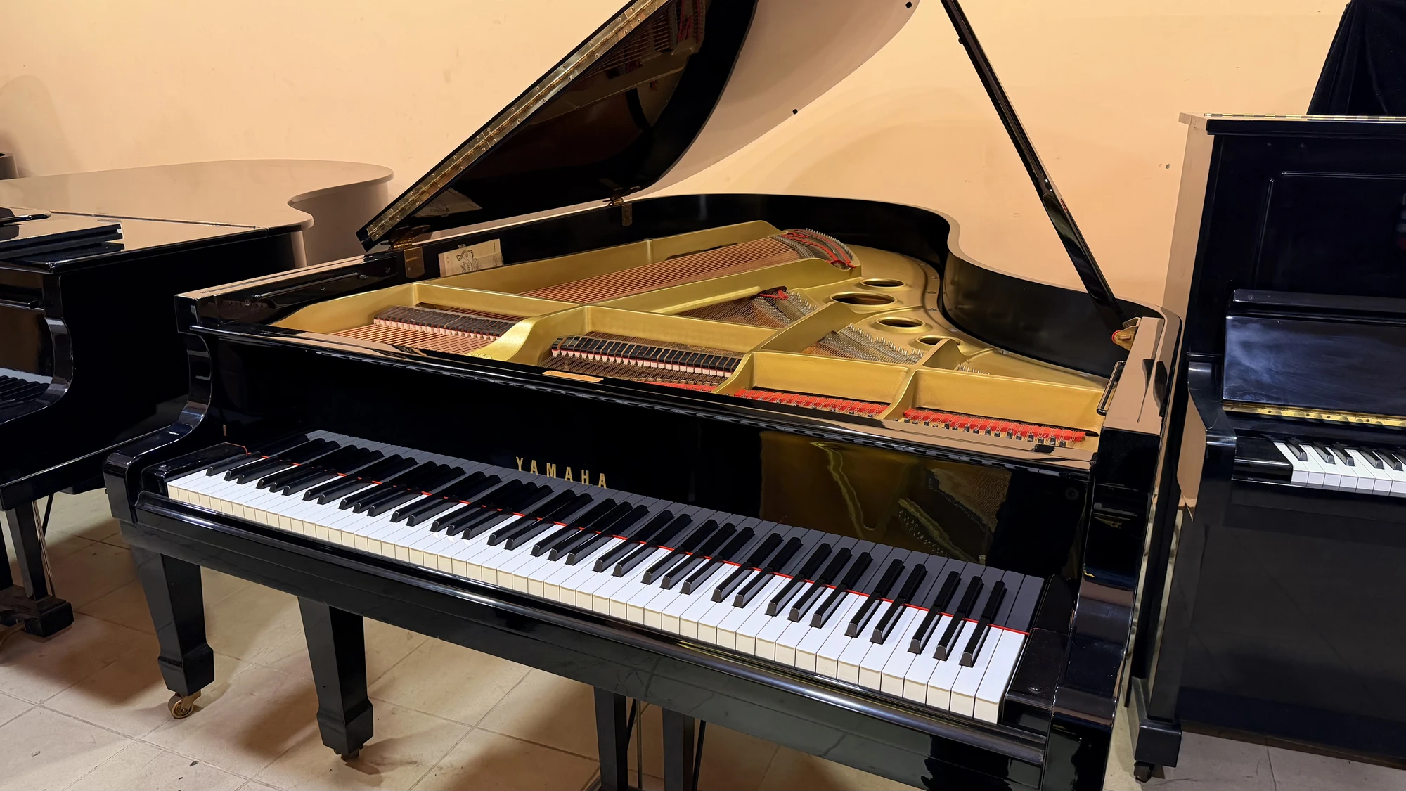 Yamaha G5, Yamaha G5, Basbous & Sons Lebanon, view 3