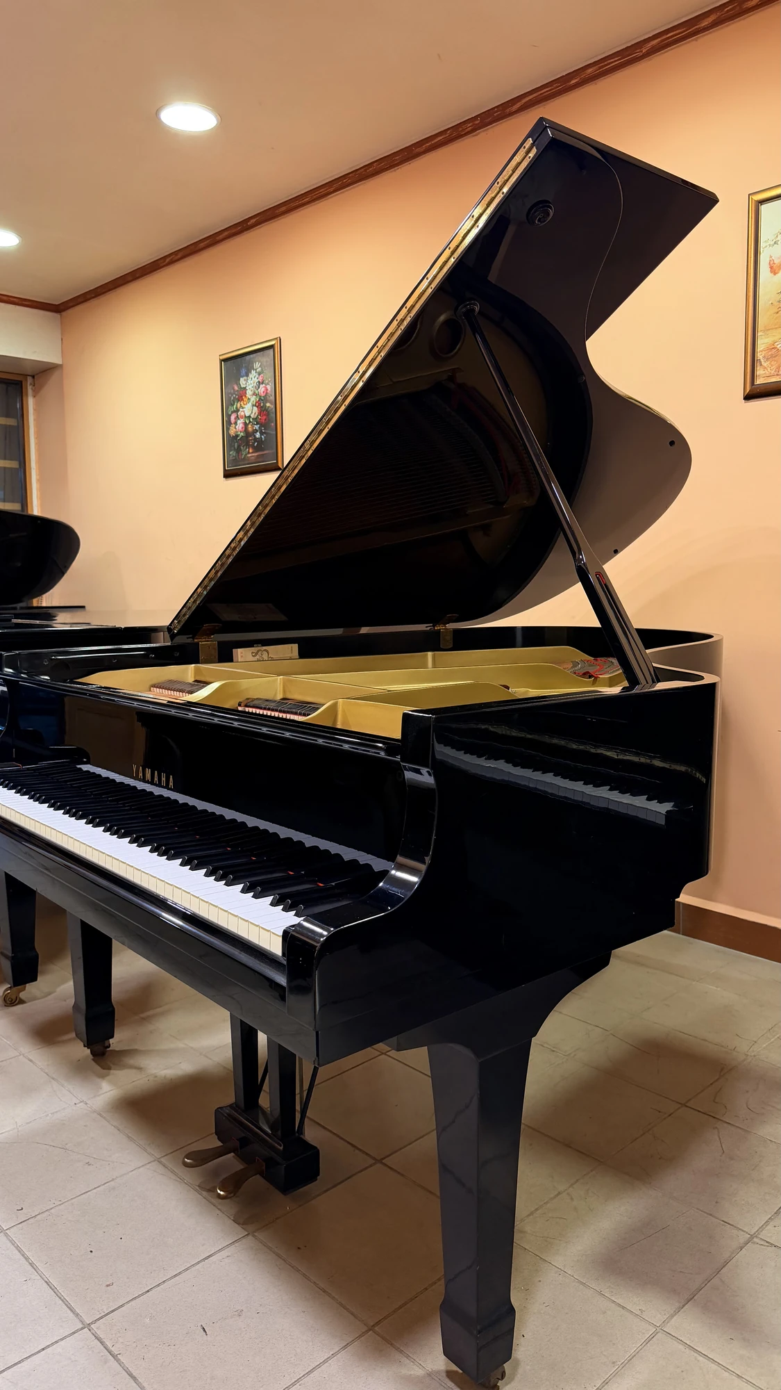 Yamaha G5, Yamaha G5, Basbous & Sons Lebanon, view 2