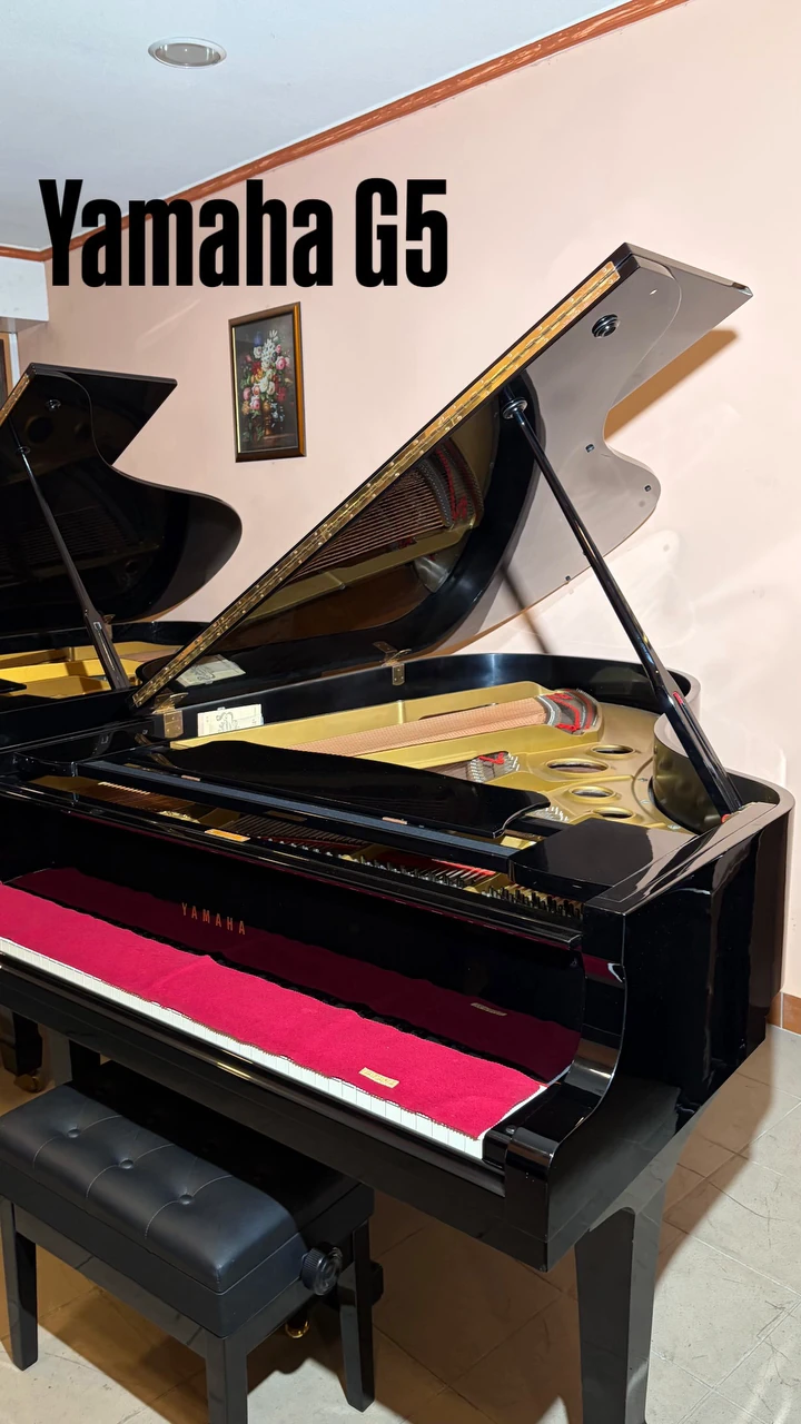 Yamaha G5, Yamaha G5, Basbous & Sons Lebanon, view 5