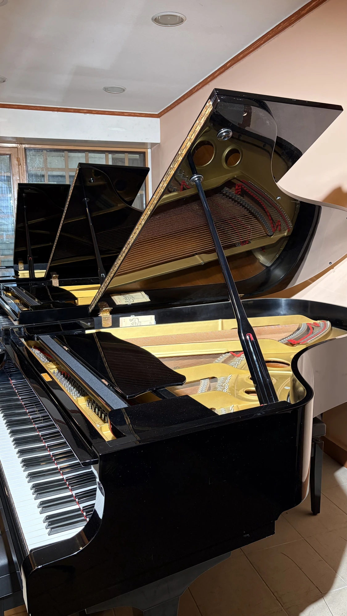 Yamaha G5, Yamaha G5, Basbous & Sons Lebanon, view 4
