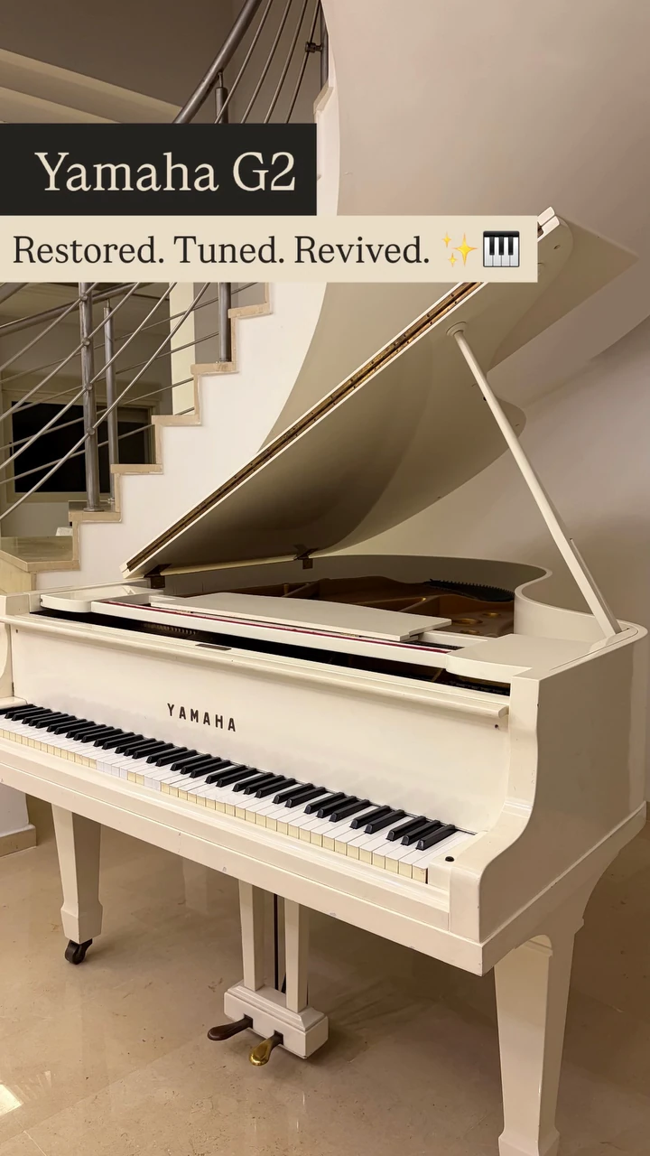 A white Yamaha G2 grand, restored, tuned and revived