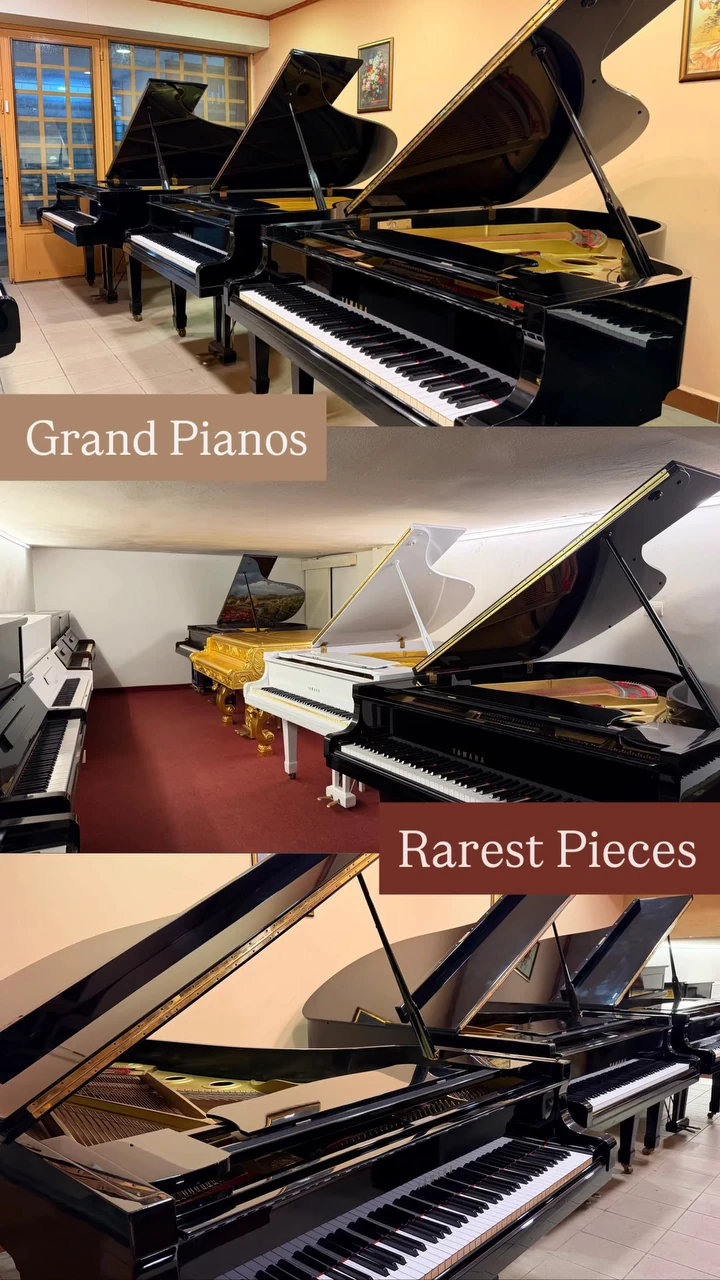 Grand pianos and rare pieces in the Basbous & Sons showroom