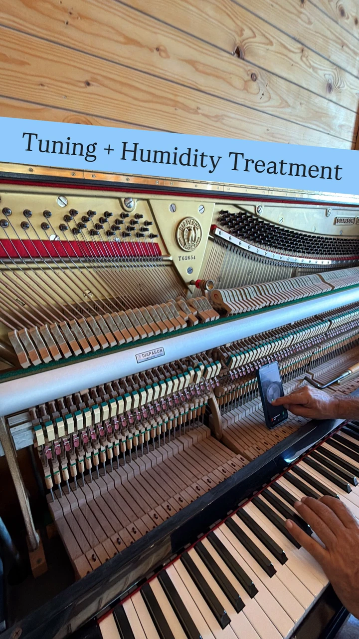 Tuning and humidity treatment inside an upright piano